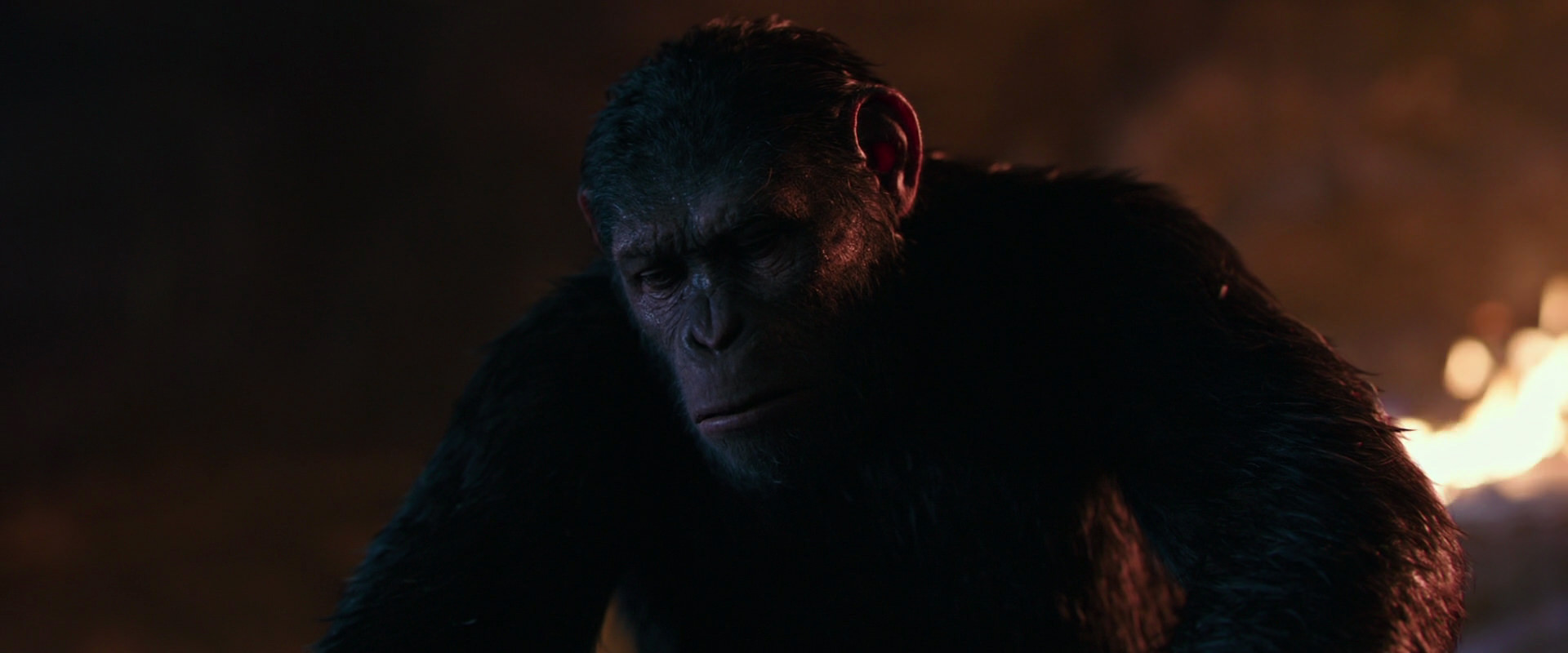 War for the Planet of the Apes (2017) screencap 2691