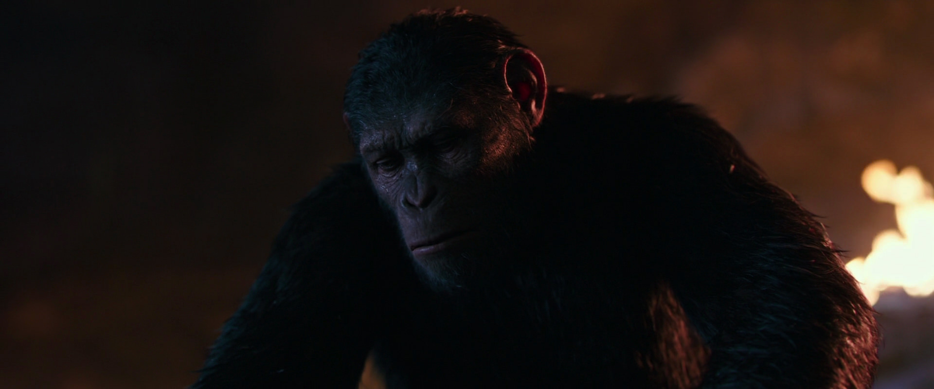War for the Planet of the Apes (2017) movie still 2692