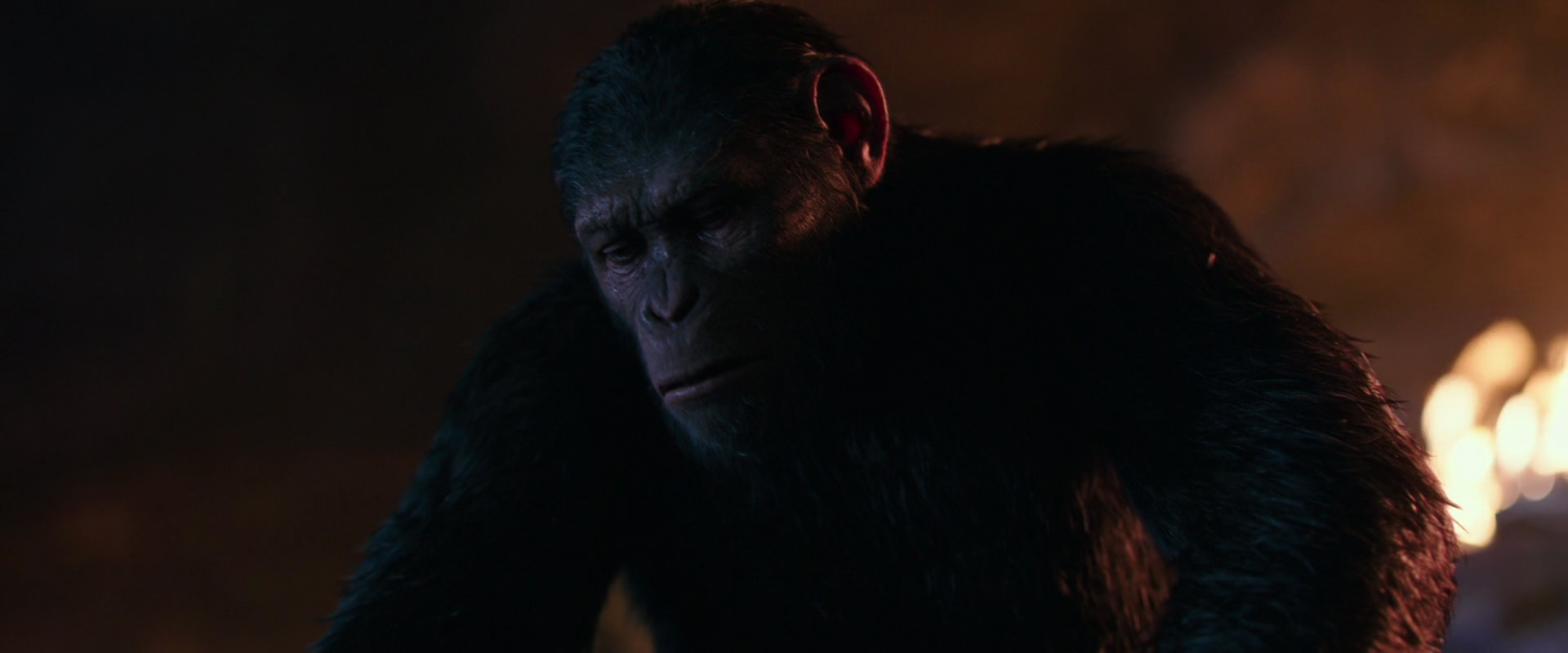 War for the Planet of the Apes (2017) HD screenshot 2693