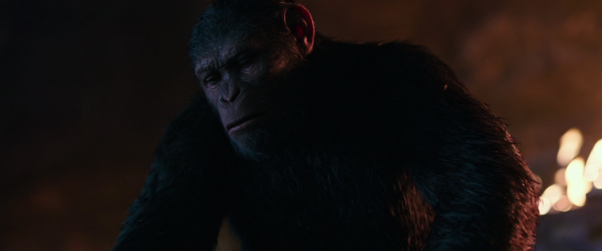 War for the Planet of the Apes (2017) screencap 2694