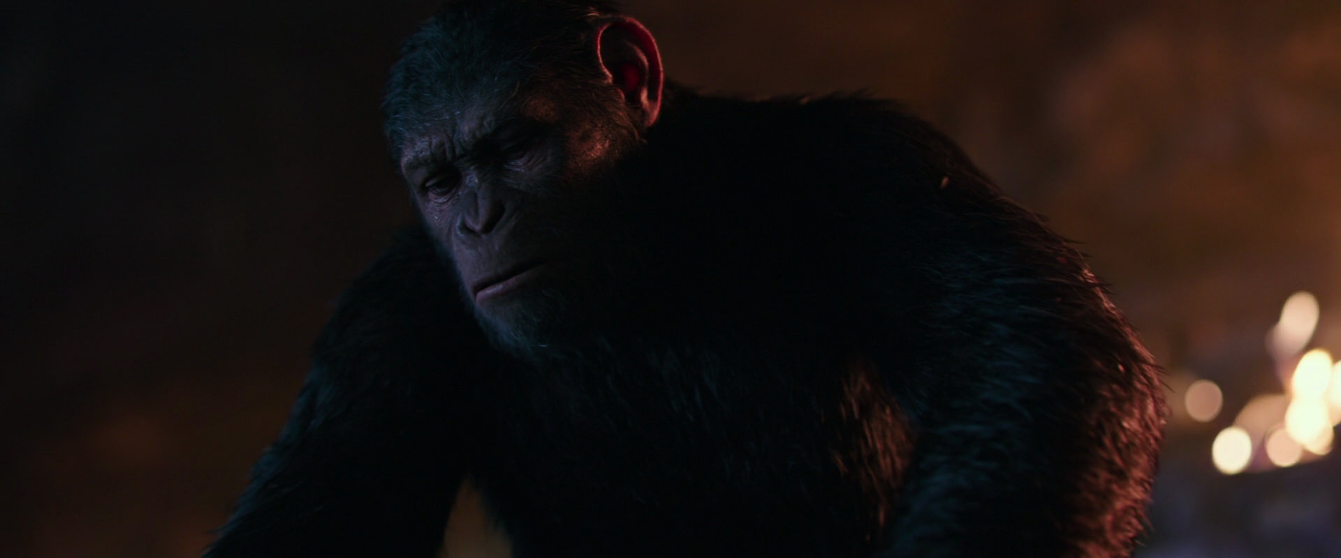 War for the Planet of the Apes (2017) movie still 2695