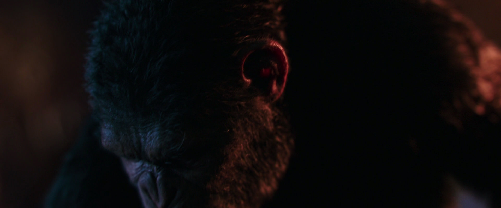 War for the Planet of the Apes (2017) movie still 2704