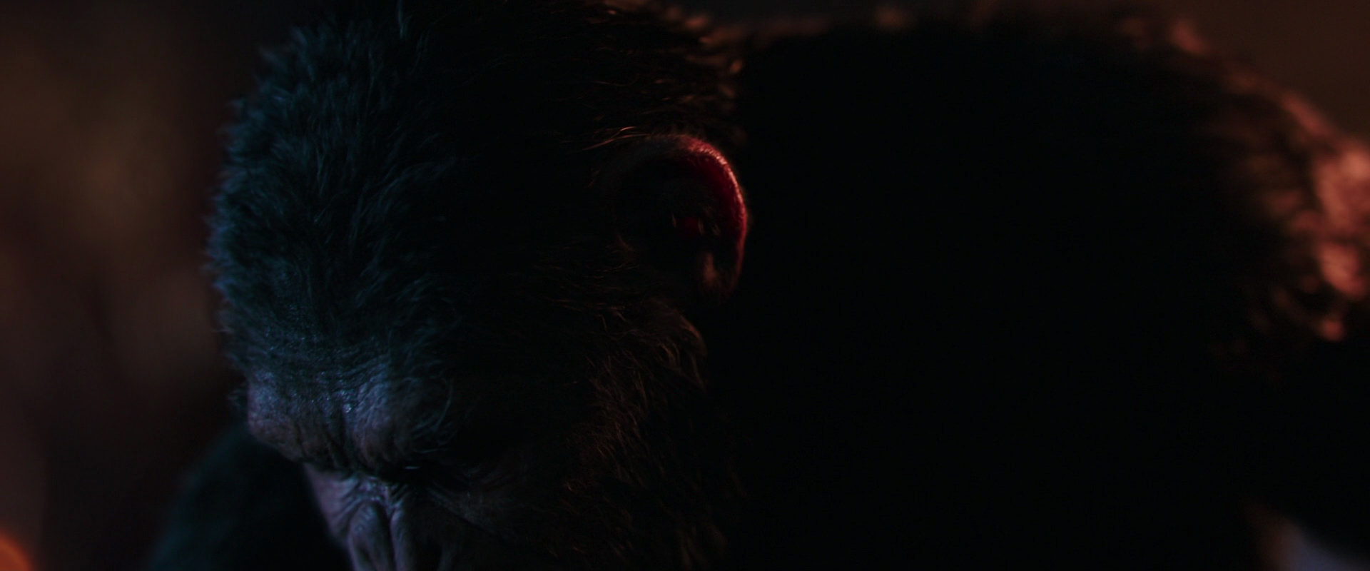 War for the Planet of the Apes (2017) HD screenshot 2705