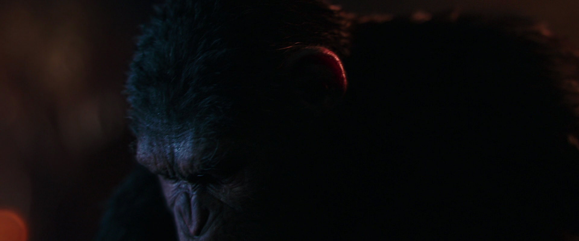 War for the Planet of the Apes (2017) screencap 2706