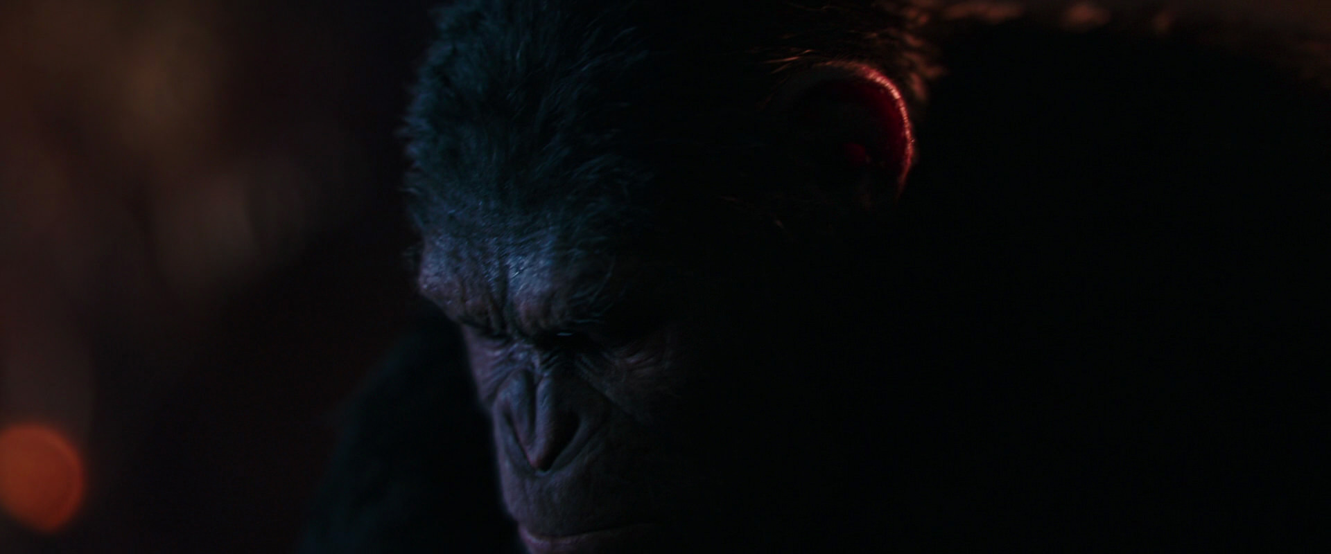 War for the Planet of the Apes (2017) movie still 2707