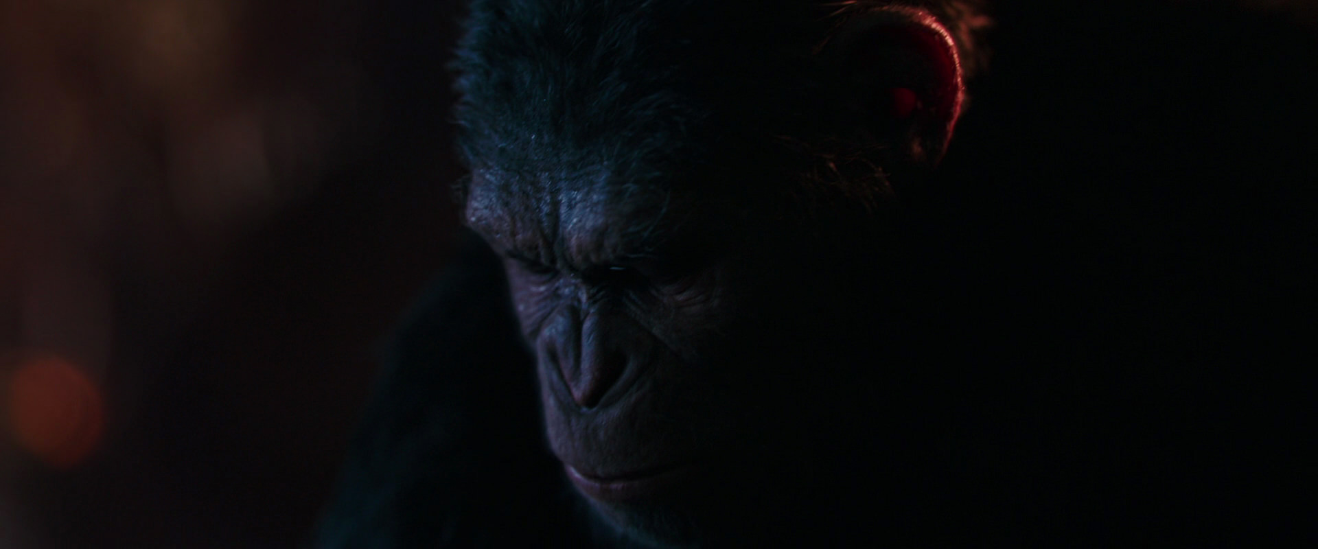War for the Planet of the Apes (2017) HD screenshot 2708