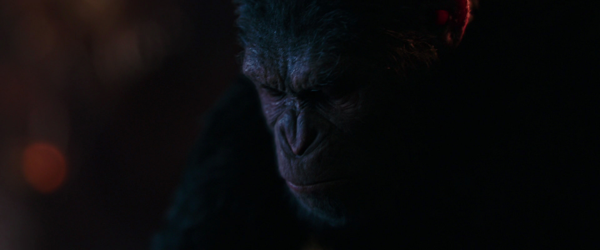 War for the Planet of the Apes (2017) screencap 2709