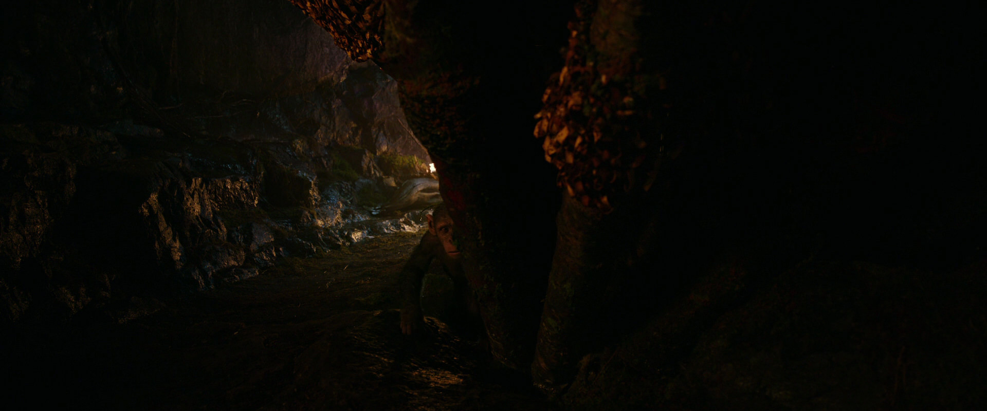 War for the Planet of the Apes (2017) movie still 2725