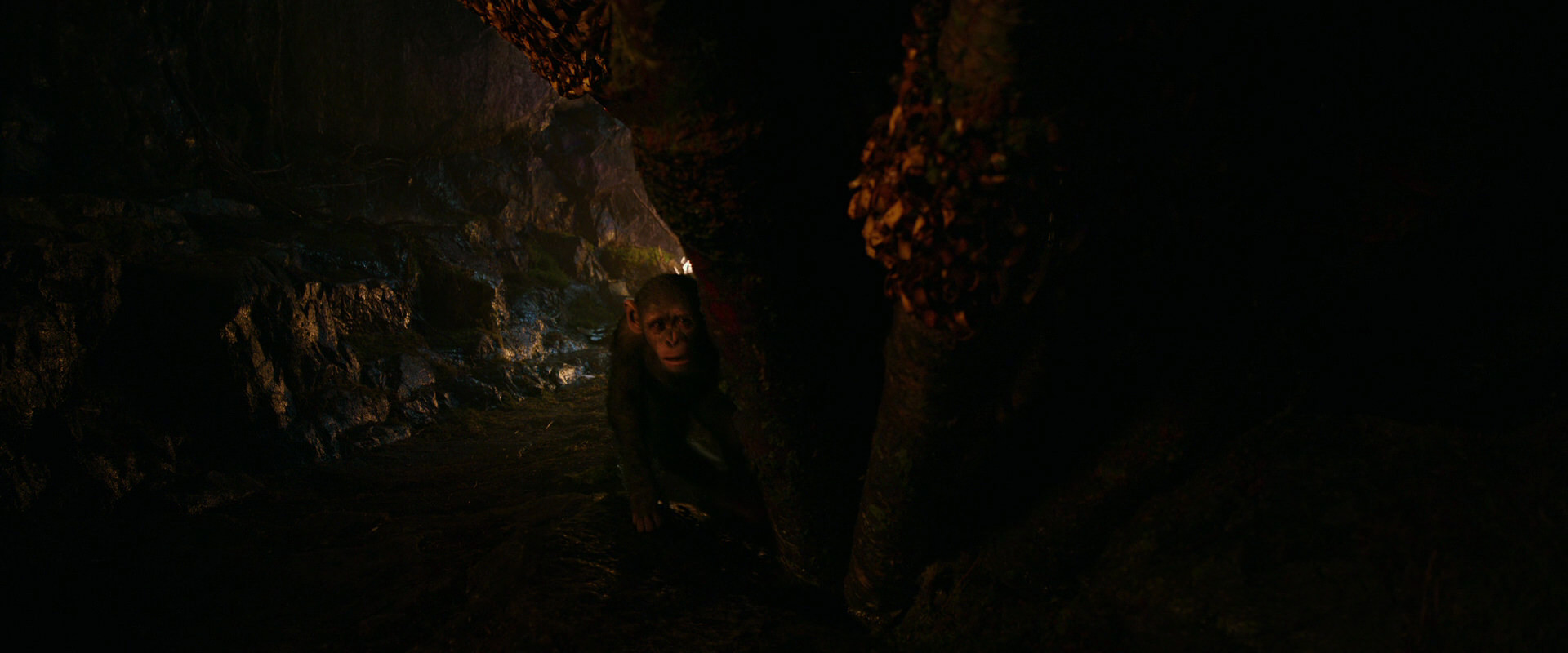 War for the Planet of the Apes (2017) HD screenshot 2726