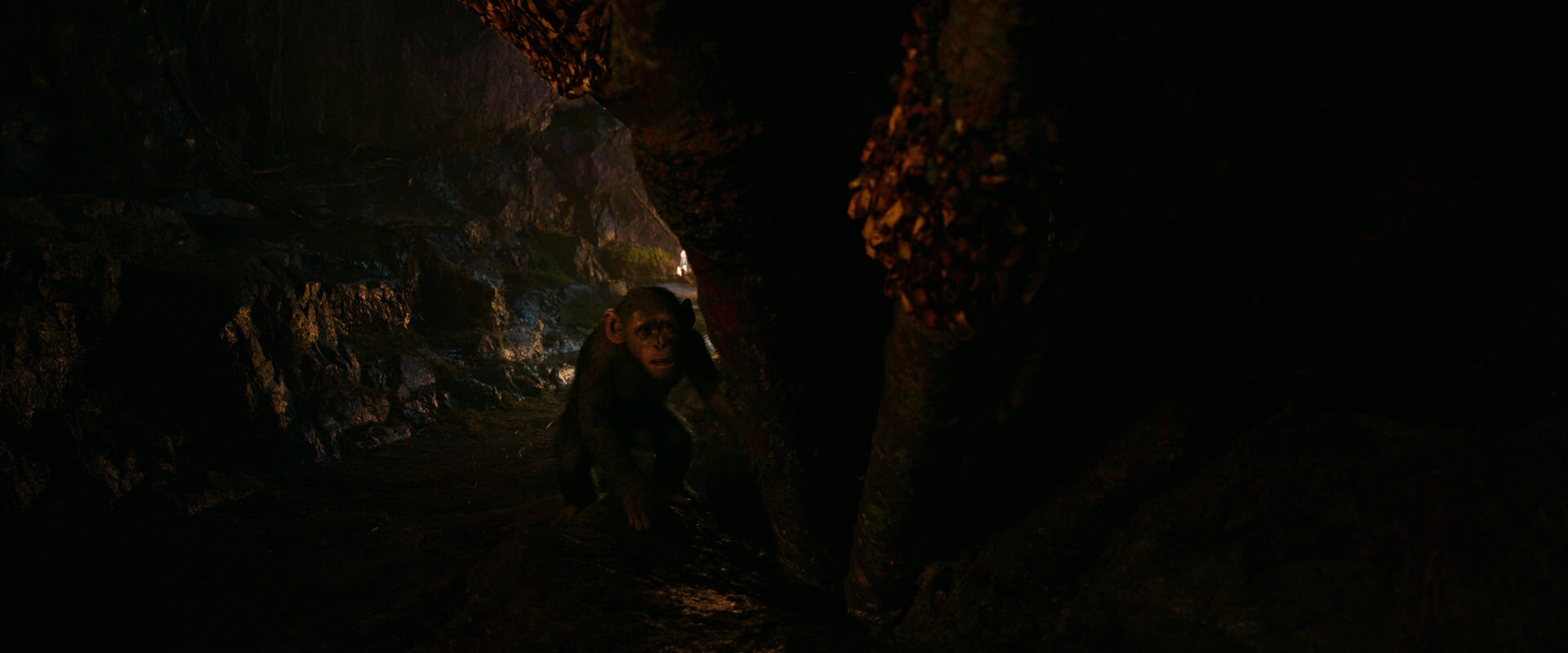 War for the Planet of the Apes (2017) screencap 2727