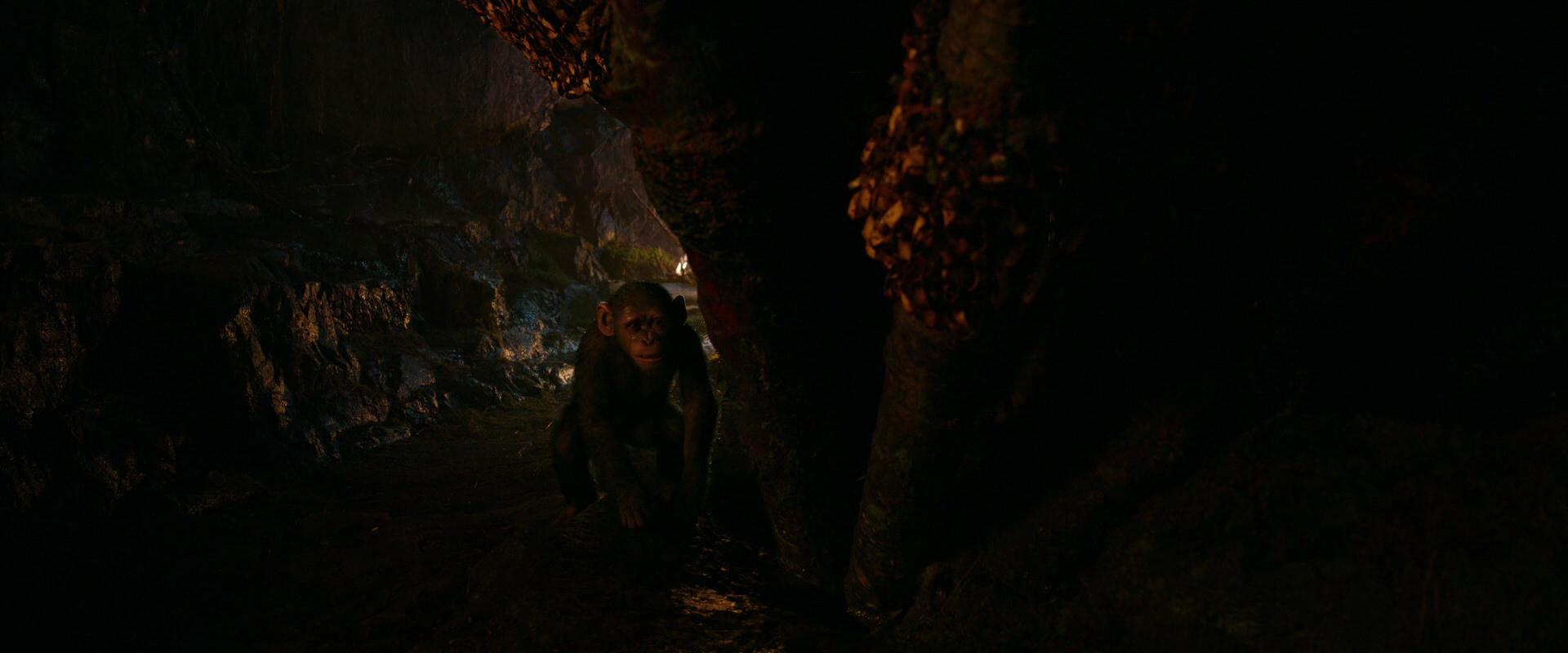 War for the Planet of the Apes (2017) movie still 2728