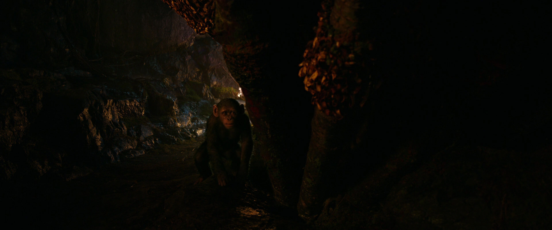 War for the Planet of the Apes (2017) HD screenshot 2729