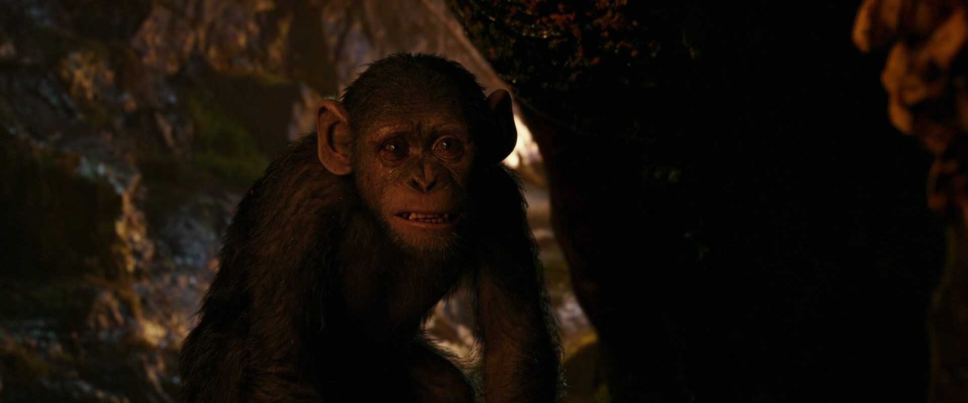War for the Planet of the Apes (2017) movie still 2740