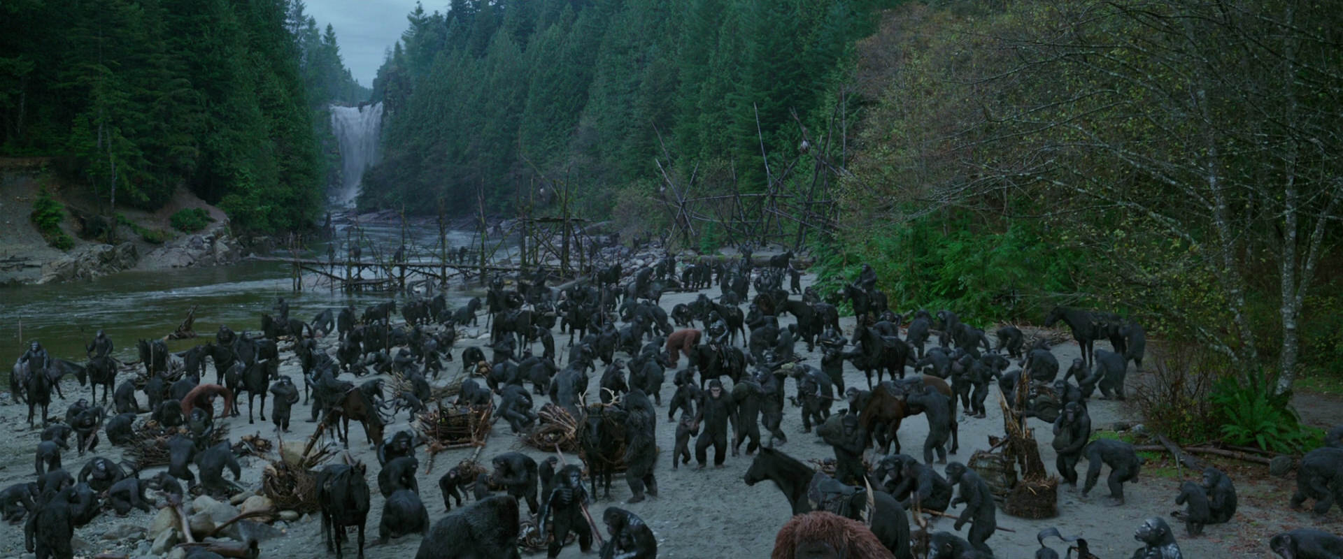 War for the Planet of the Apes (2017) movie still 2764