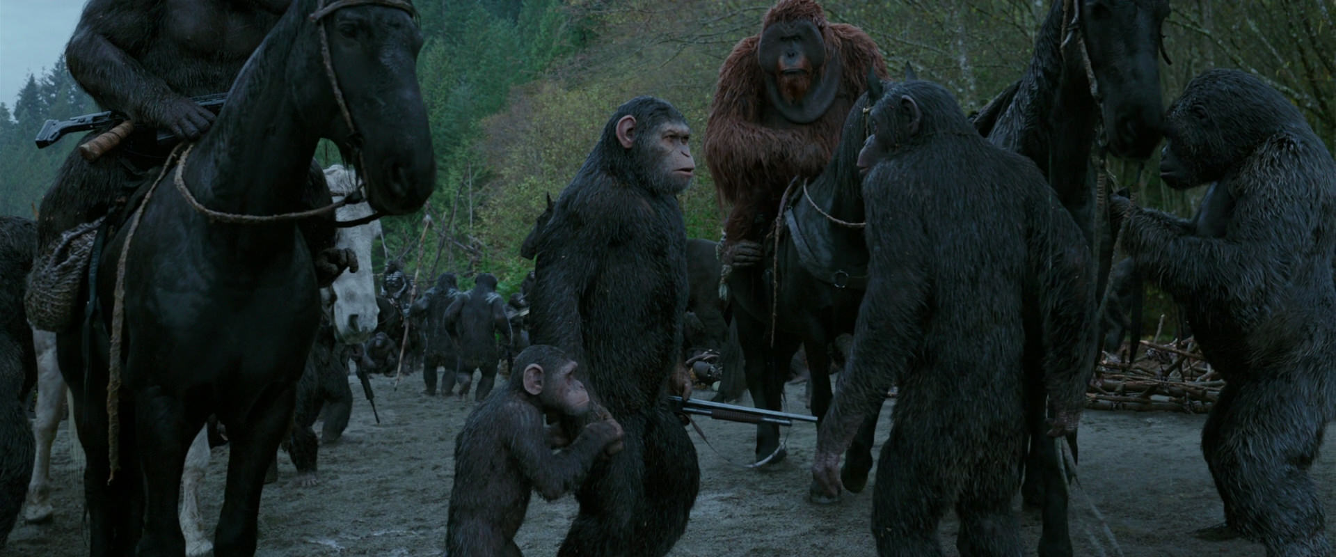 War for the Planet of the Apes (2017) screencap 2802