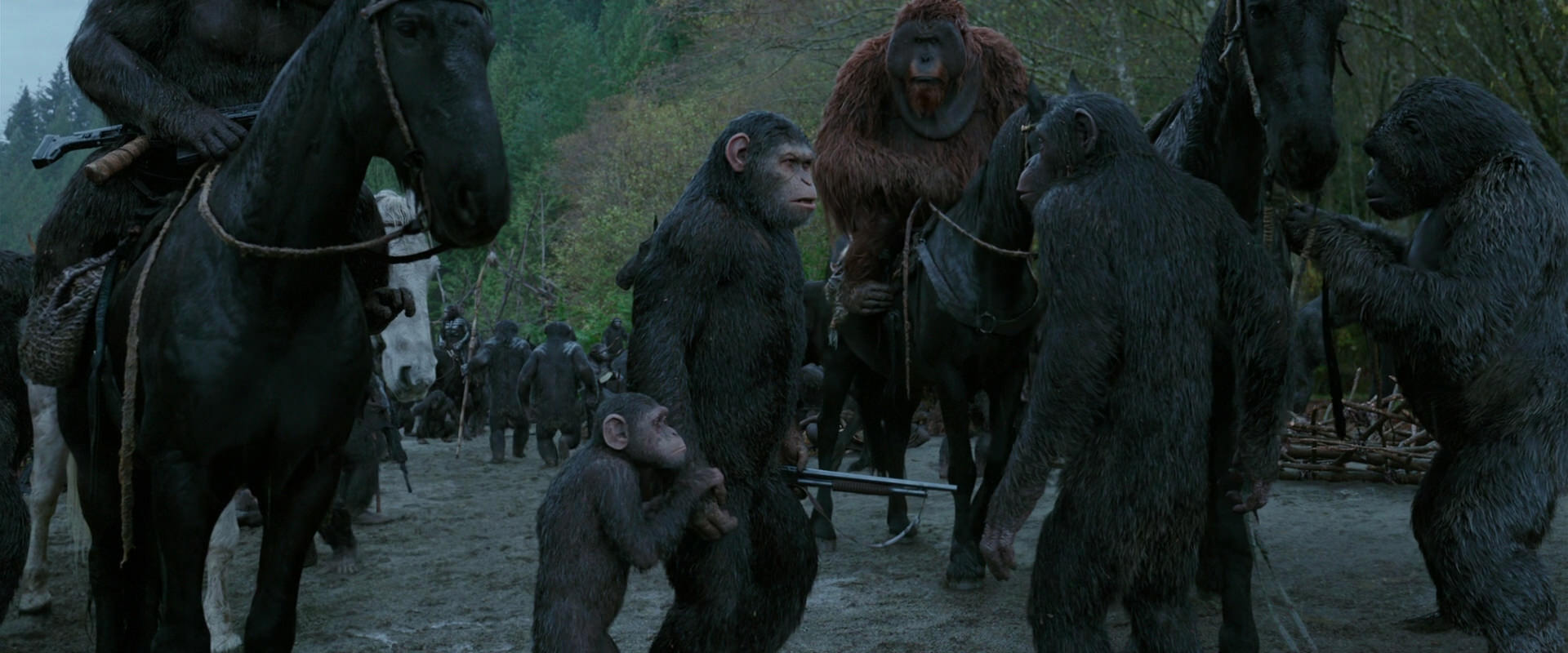 War for the Planet of the Apes (2017) movie still 2803