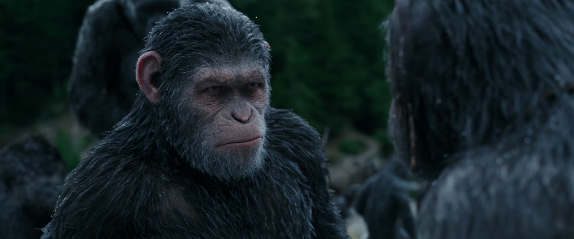 War for the Planet of the Apes (2017) screencap 2805