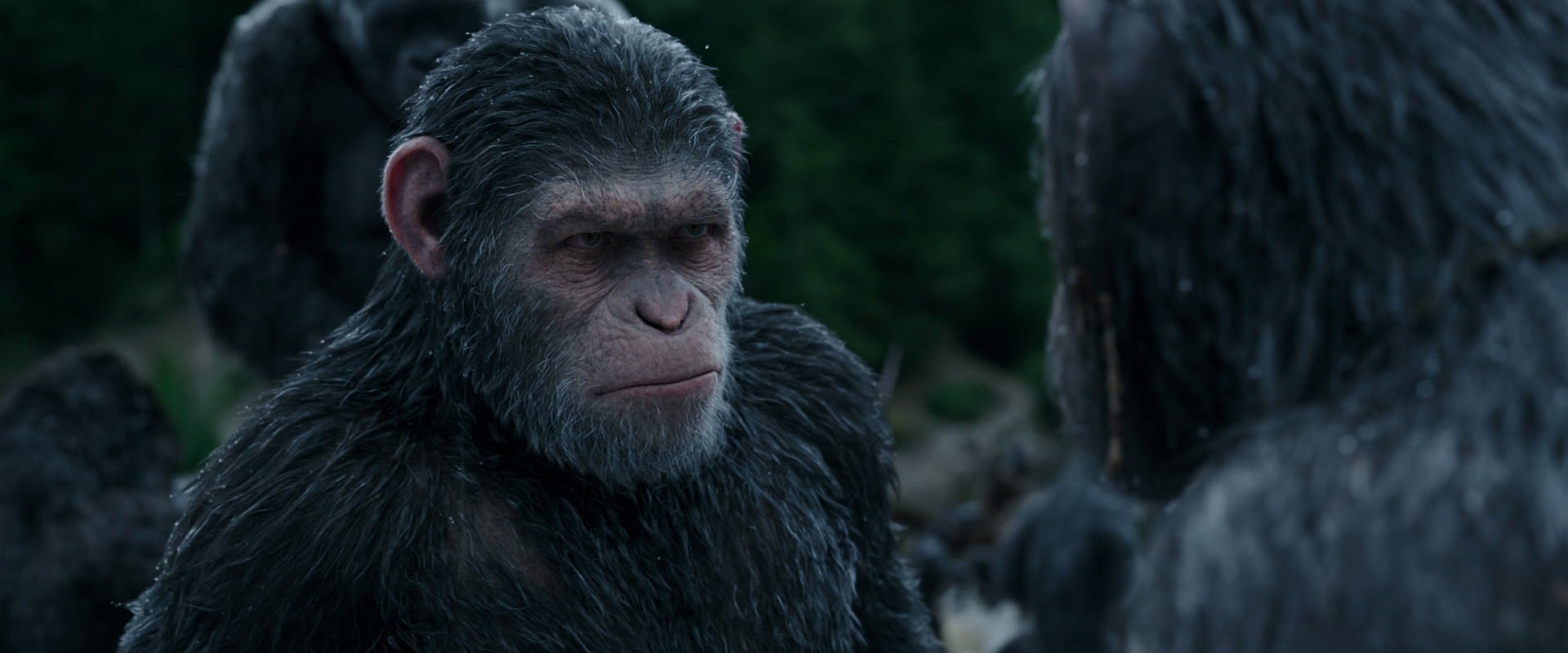 War for the Planet of the Apes (2017) movie still 2806