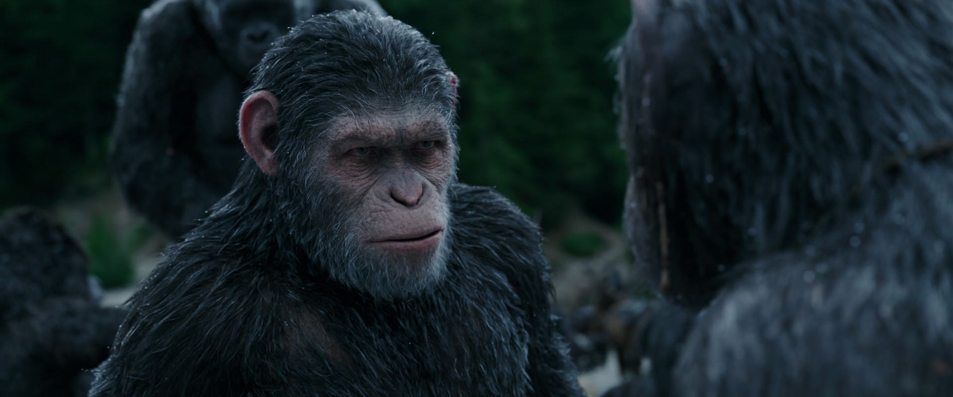 War for the Planet of the Apes (2017) HD screenshot 2807