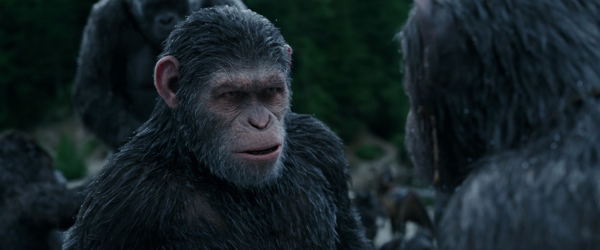 War for the Planet of the Apes (2017) screencap 2808