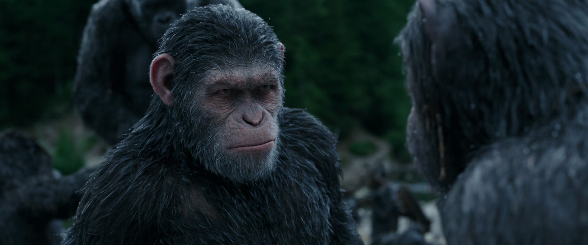 War for the Planet of the Apes (2017) movie still 2809