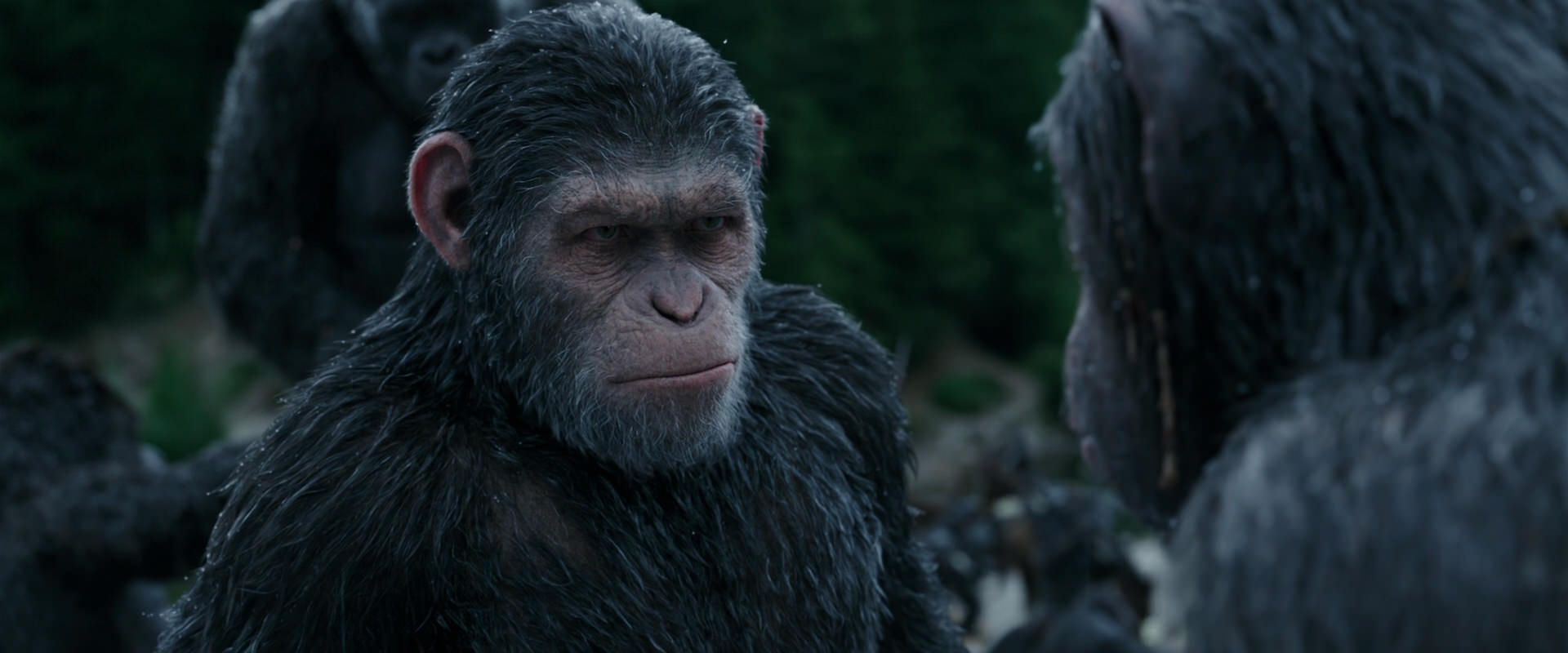 War for the Planet of the Apes (2017) HD screenshot 2810