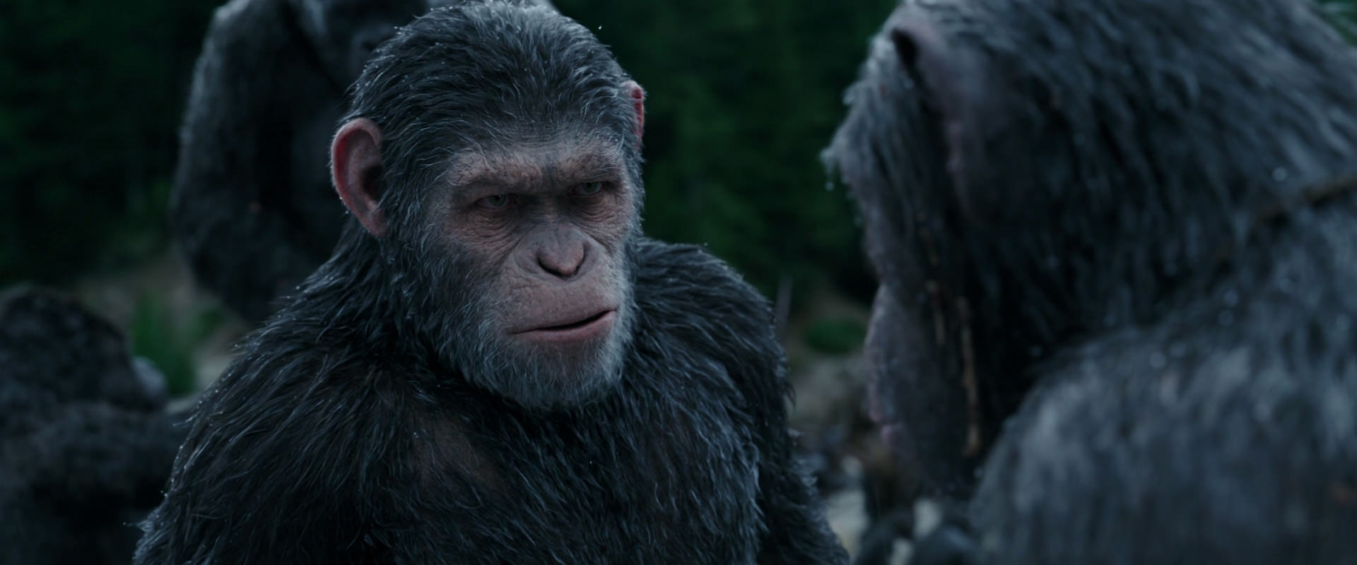 War for the Planet of the Apes (2017) screencap 2811