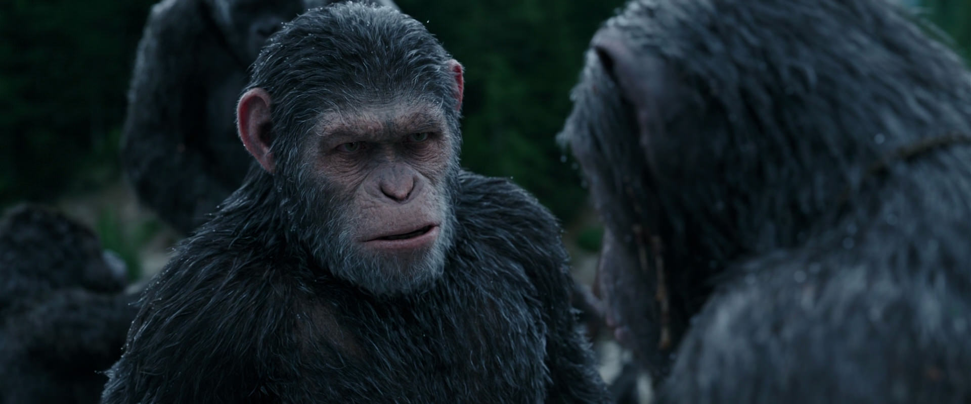 War for the Planet of the Apes (2017) movie still 2812