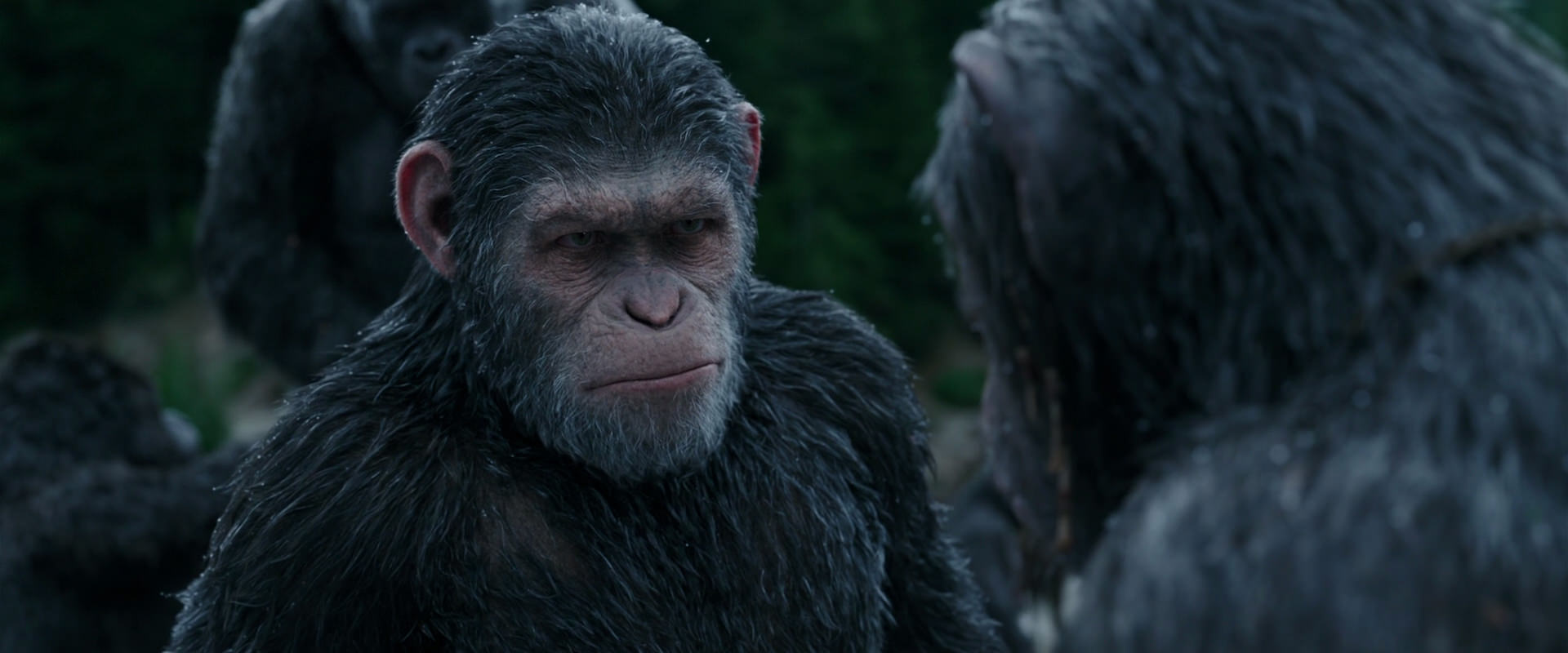 War for the Planet of the Apes (2017) HD screenshot 2813