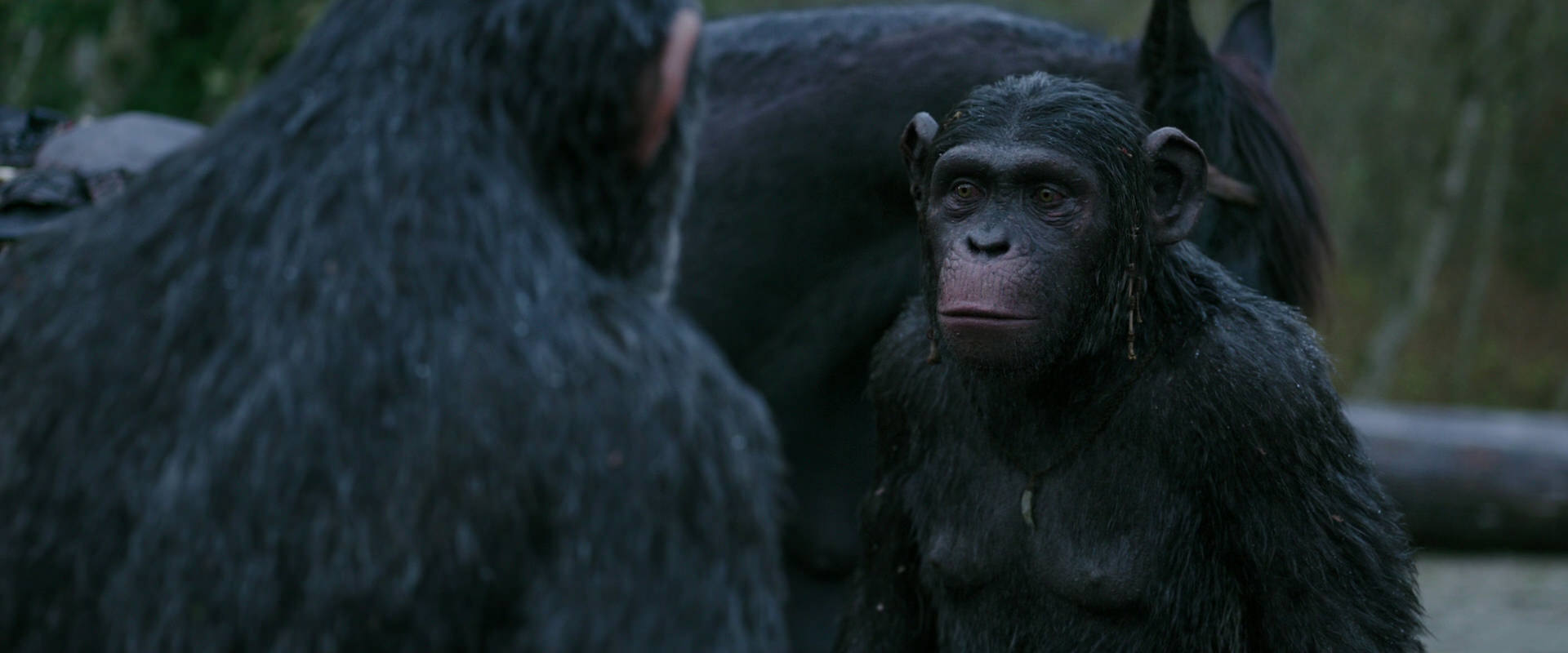 War for the Planet of the Apes (2017) screencap 2814