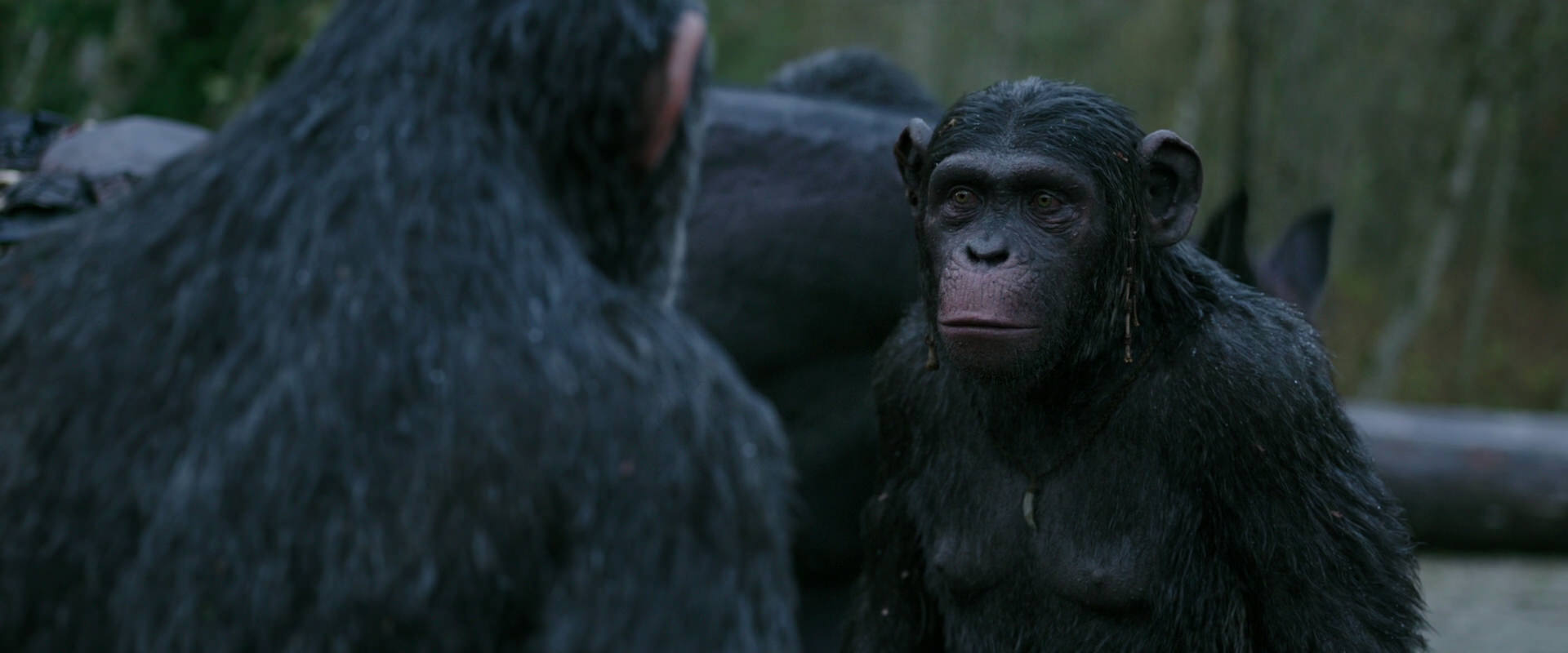War for the Planet of the Apes (2017) movie still 2815