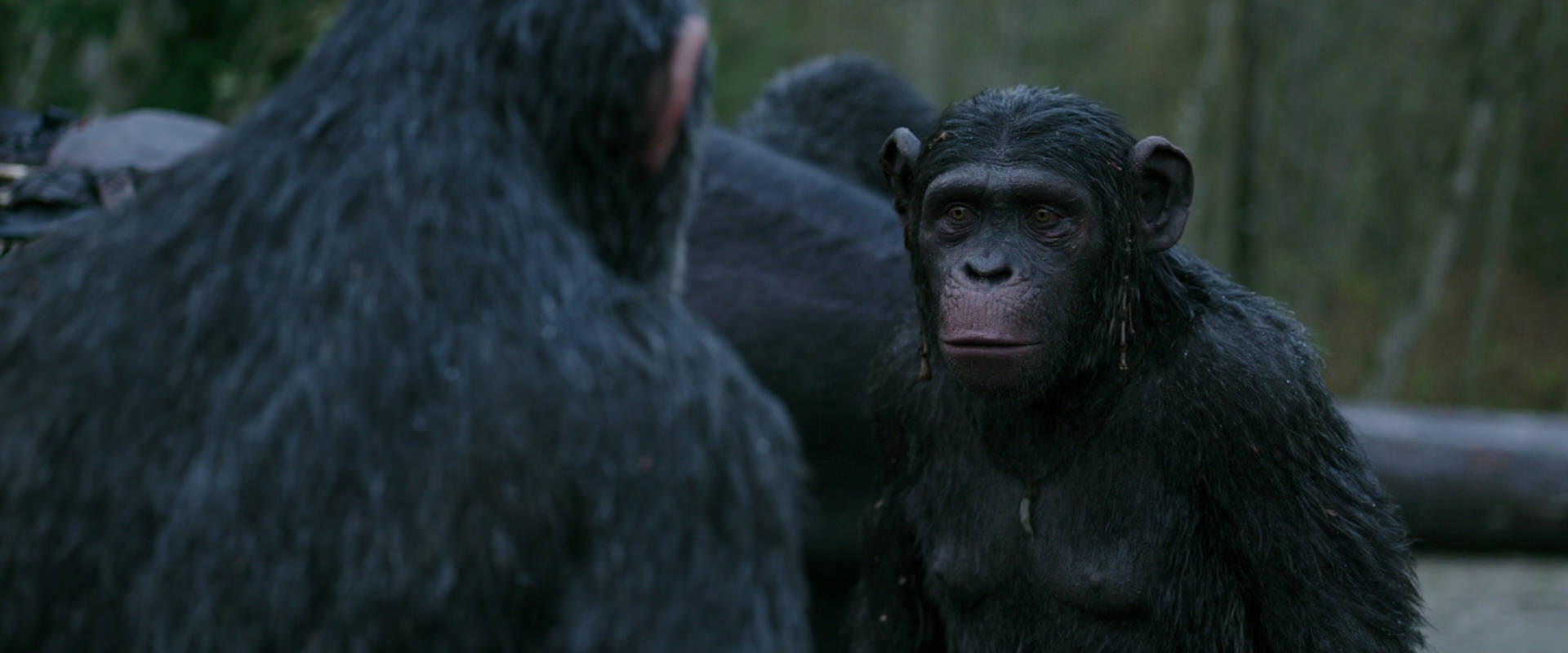War for the Planet of the Apes (2017) HD screenshot 2816