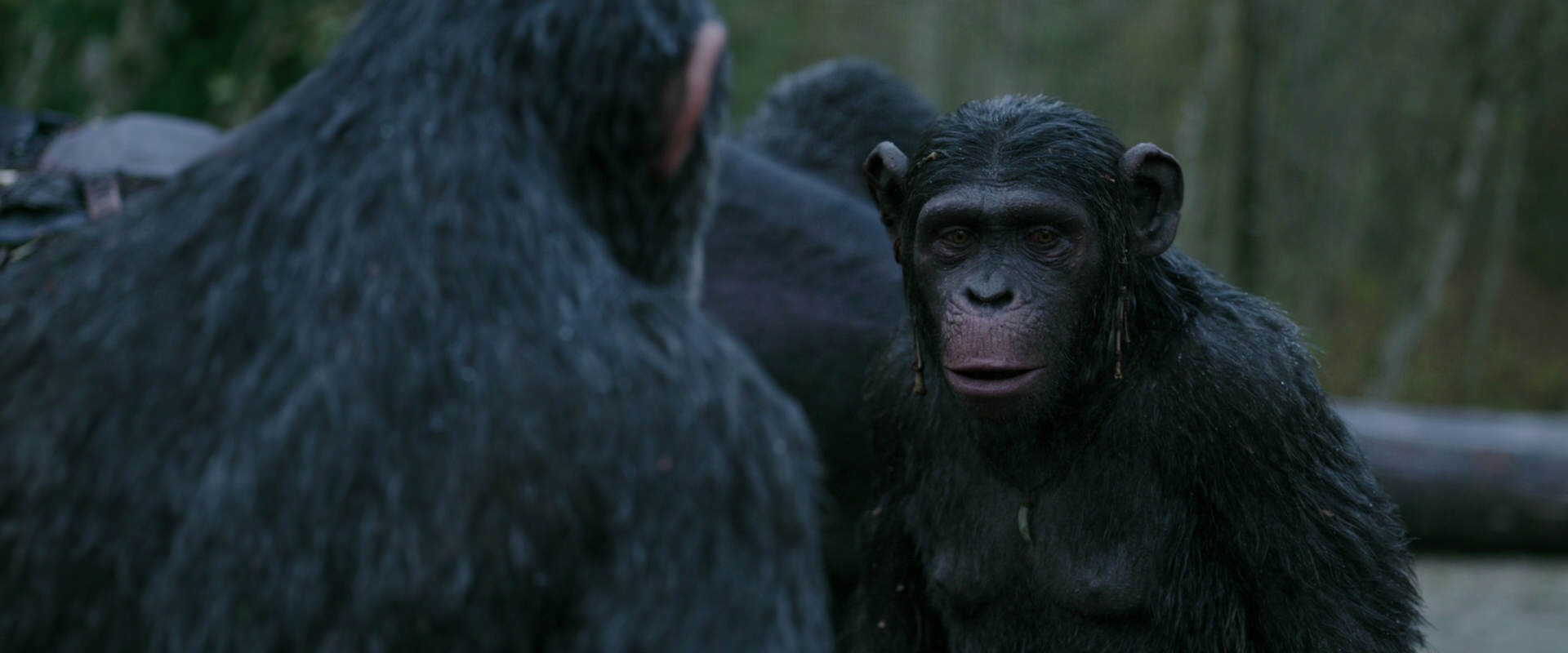 War for the Planet of the Apes (2017) screencap 2817