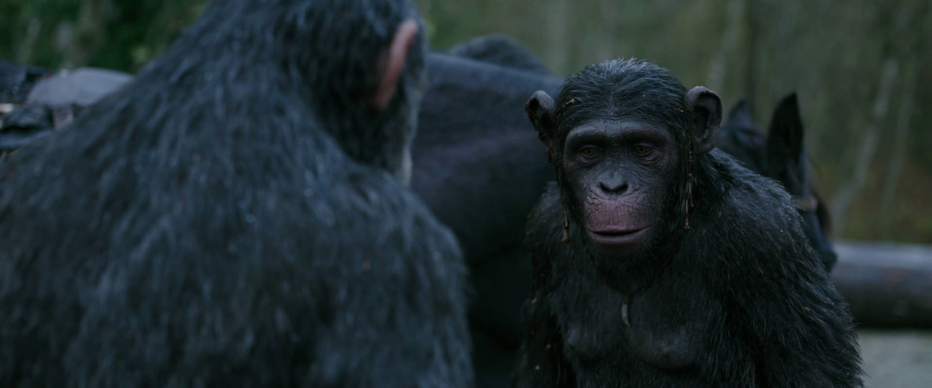 War for the Planet of the Apes (2017) HD screenshot 2819