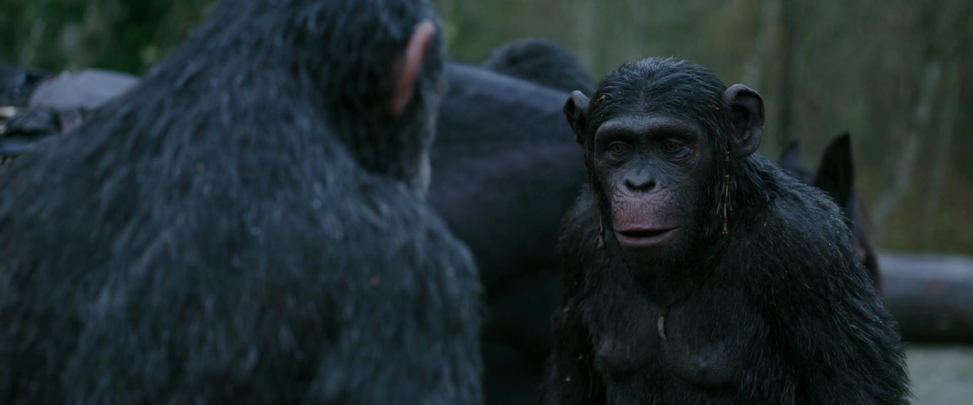 War for the Planet of the Apes (2017) screencap 2820