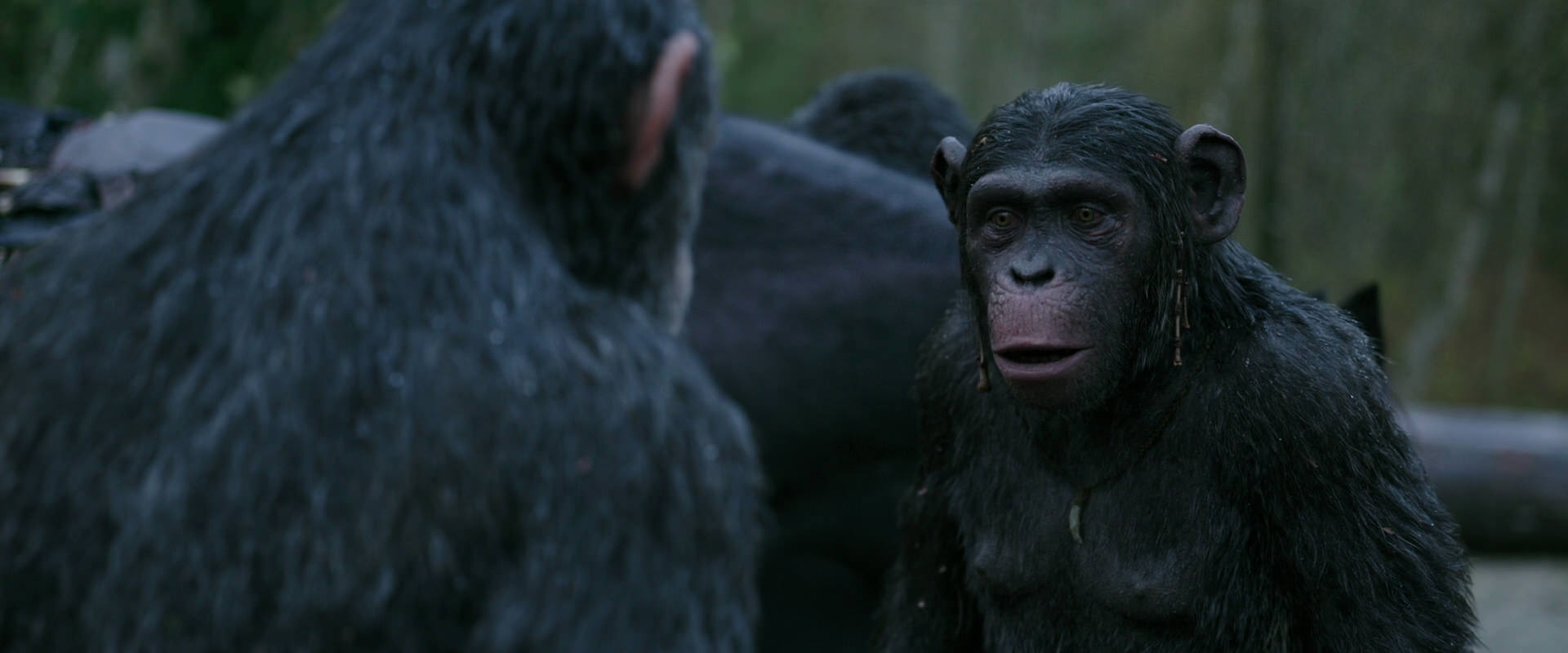 War for the Planet of the Apes (2017) movie still 2821