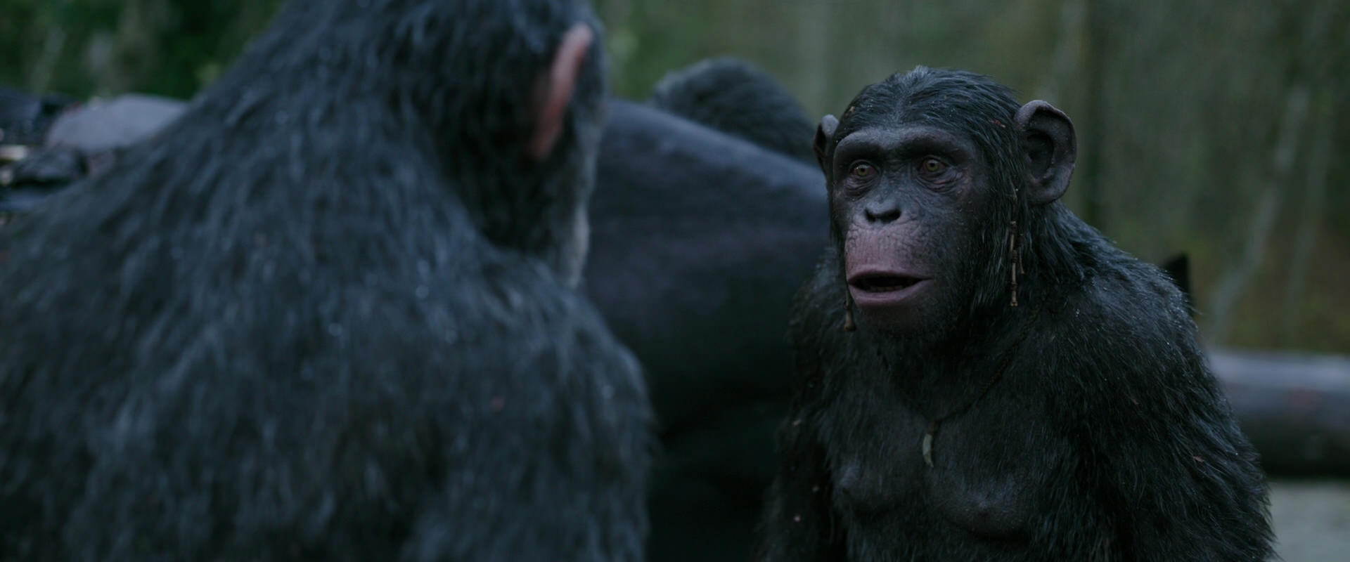 War for the Planet of the Apes (2017) HD screenshot 2822