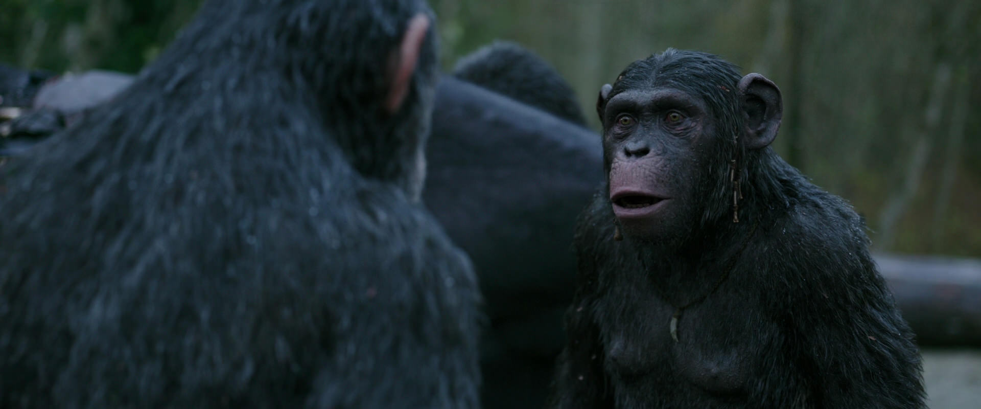 War for the Planet of the Apes (2017) screencap 2823