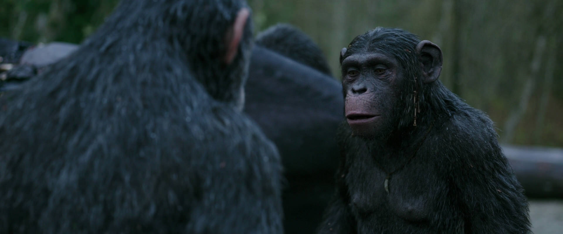 War for the Planet of the Apes (2017) HD screenshot 2825