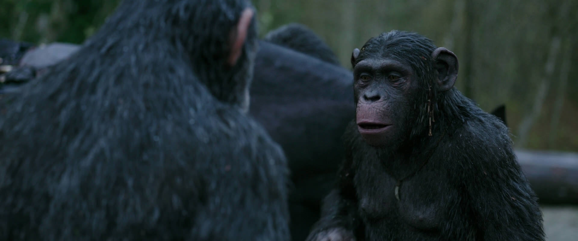War for the Planet of the Apes (2017) screencap 2826
