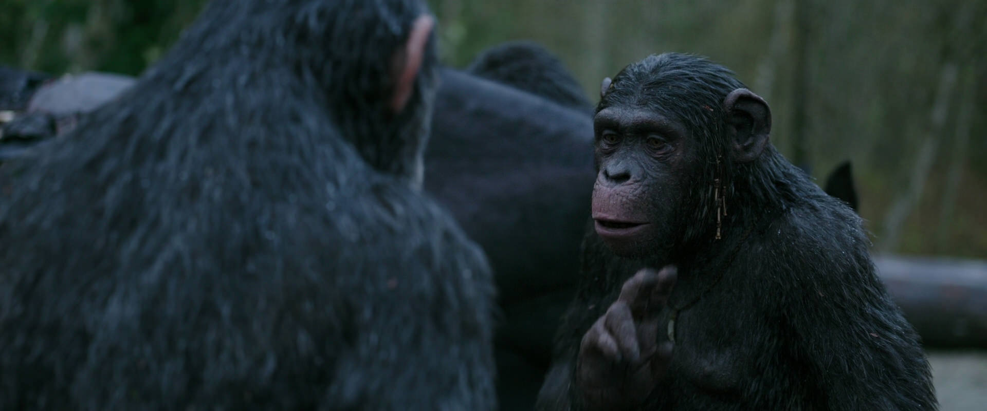 War for the Planet of the Apes (2017) movie still 2827