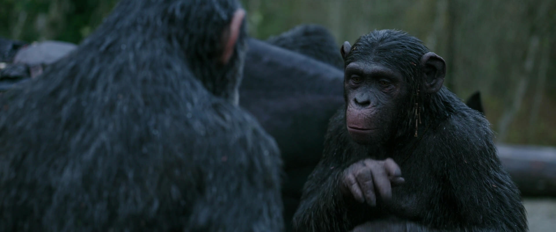 War for the Planet of the Apes (2017) HD screenshot 2828