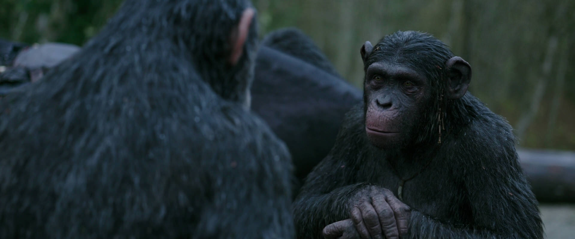 War for the Planet of the Apes (2017) screencap 2829
