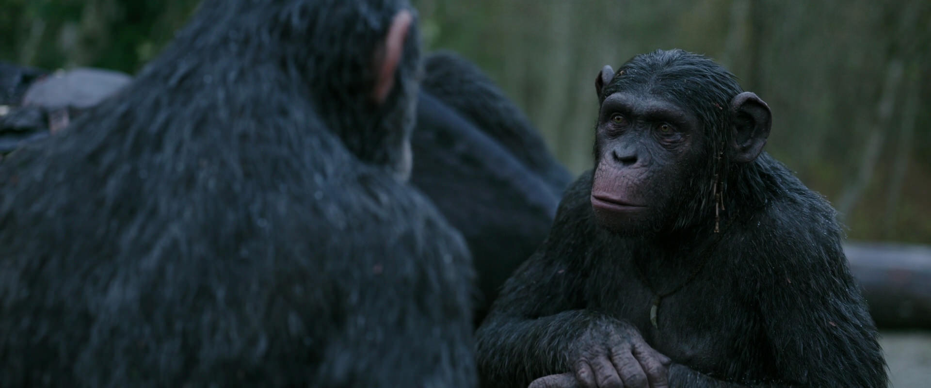 War for the Planet of the Apes (2017) movie still 2830