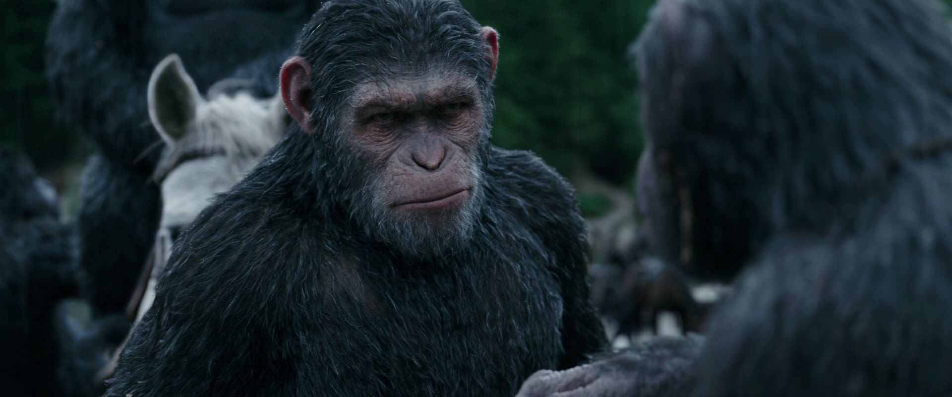 War for the Planet of the Apes (2017) HD screenshot 2831