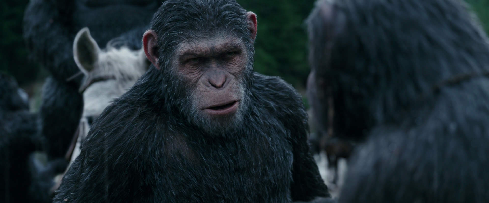 War for the Planet of the Apes (2017) screencap 2832