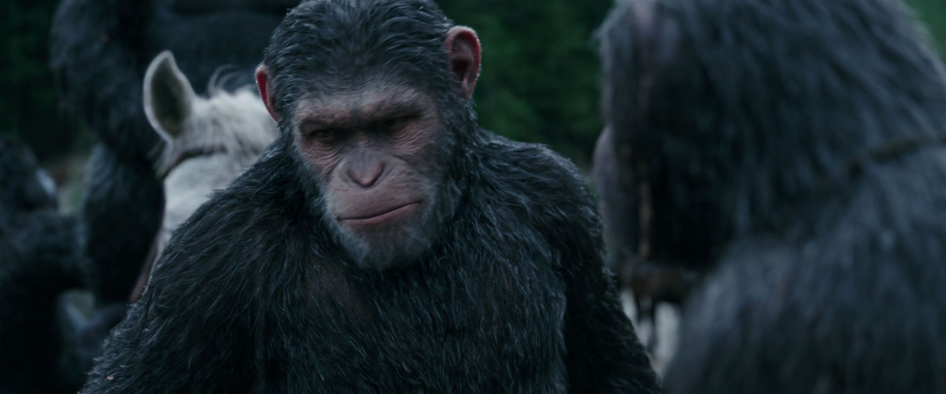 War for the Planet of the Apes (2017) movie still 2833