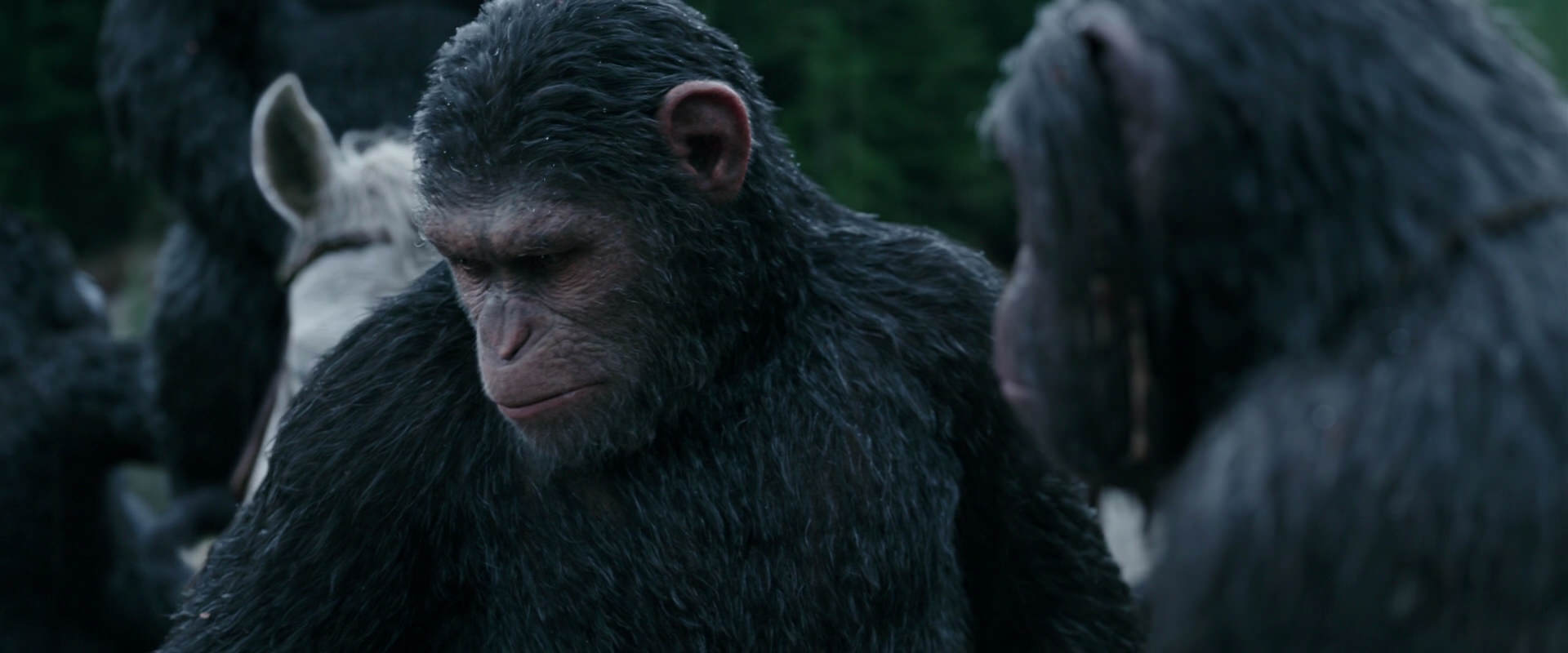 War for the Planet of the Apes (2017) HD screenshot 2834