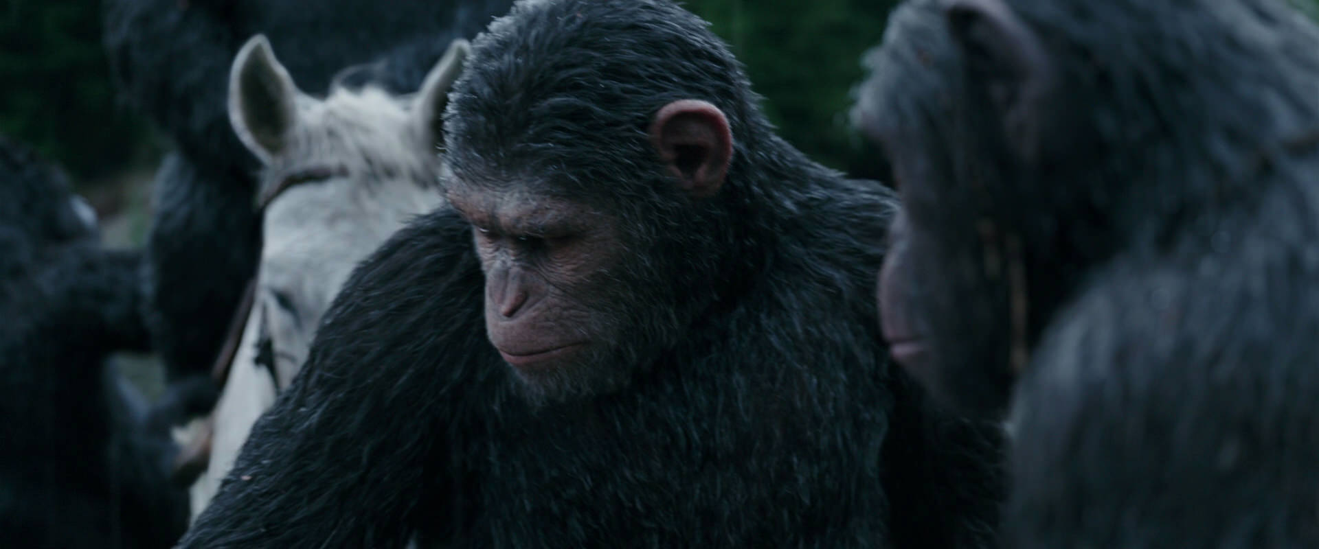 War for the Planet of the Apes (2017) screencap 2835