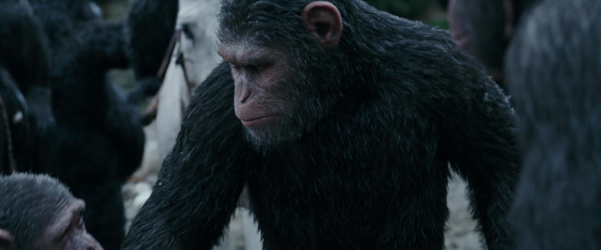 War for the Planet of the Apes (2017) HD screenshot 2837